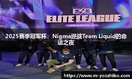 2025赛季冠军杯：Nigma迎战Team Liquid的命运之夜